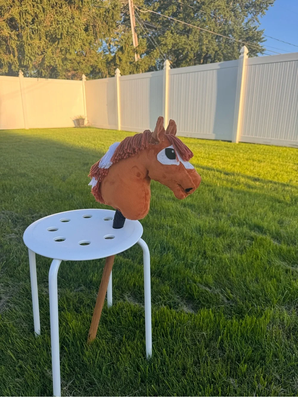 Hobby horse- “FSS Just Keep Swimming” AKA Nemo
